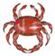 CRABE METAL GM