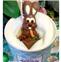 HOT CHOCOLATE LAPIN CAROTTE 30G