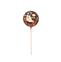 SUCETTE CHOCOLAT LAIT EDITION PRINTEMPS 50G